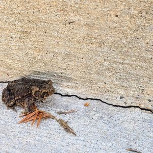 Meet your Posher, Kerri